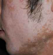 �����������Գ���������