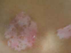 ������������Щ����������